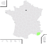 Ophrys ×cranbrookiana Godfery - carte de répartition