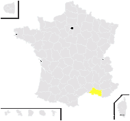 Ophrys ×flahaultii Ladouze - carte de répartition