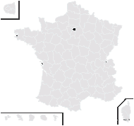 Verbesina australis Baker - carte de répartition