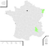 Ophrys ×licana A.Fuchs - carte de répartition