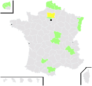 Acer eriocarpum Michx. - carte de répartition