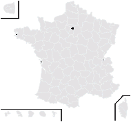 Zinnia elegans Jacq. - carte de répartition
