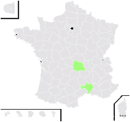 x Neotinorchis (sans nom 2)  - carte de répartition