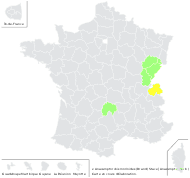 x Anacamptorchis morioides (Brand) Stace - carte de répartition