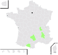 Orchis ×hyb. (sans nom 60)  - carte de répartition