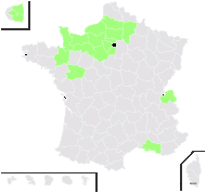 Papaver rhoeas L. f. rhoeas  - carte de répartition