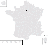 Paronychia hispanica Poir. - carte de répartition