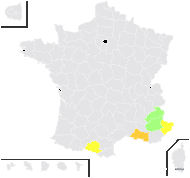 Paronychia capitata DC. - carte de répartition