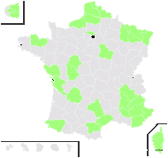 Alnus cordata (Loisel.) Duby subsp. cordata - carte de répartition