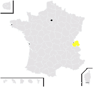 Petasites ×sabaudus Beauverd - carte de répartition