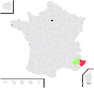 Phagnalon rupestre (L.) DC. subsp. rupestre - carte de répartition