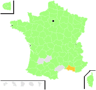 Betula oxycoviensis Besser - carte de répartition