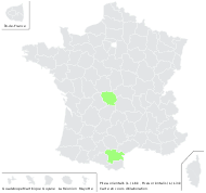 Picea orientalis (L.) Link - carte de répartition
