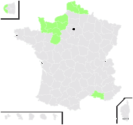Pimpinella major (L.) Huds. var. major - carte de répartition
