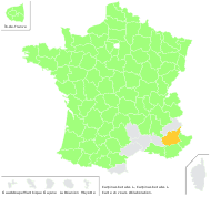 Carpinus betulus L. - carte de répartition