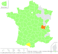 Plantago coronopus subsp. columnae (Gouan) Batt. - carte de répartition