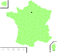 Plantago byzantina K.Koch - carte de répartition