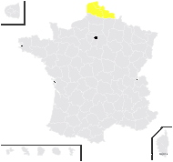 Plantago ×mixta Domin - carte de répartition