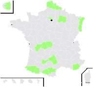 Catalpa bignonioides Walter - carte de répartition