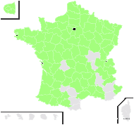 Poa trivialis L. subsp. trivialis - carte de répartition