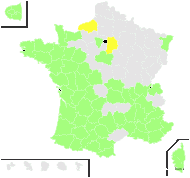 Alsine polycarpon Crantz - carte de répartition