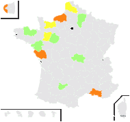 Amsinckia calycina (Moris) Chater - carte de répartition