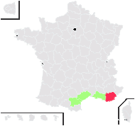 Polygonum romanum Jacq. - carte de répartition