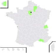 Populus peroneana Dode - carte de répartition