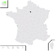Populus simonii Carrière - carte de répartition
