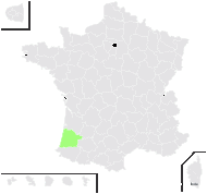 Populus yunnanensis Dode - carte de répartition