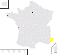 Cynoglottis barrelieri (All.) Vural & Kit Tan - carte de répartition