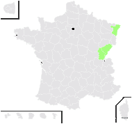 Potamogeton ×cooperi (Fryer) Fryer - carte de répartition