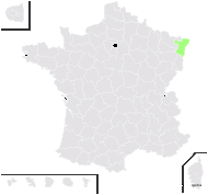 Potamogeton ×tiselii K.Richt. - carte de répartition