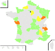 Anchusa moesiaca Velen. - carte de répartition