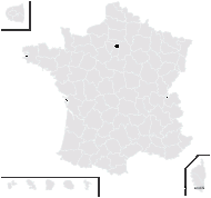 Potentilla grandiflora L. var. grandiflora - carte de répartition