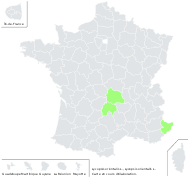 Lycopsis orientalis L. - carte de répartition