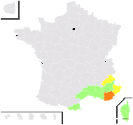 Anchusa hybrida Ten. - carte de répartition