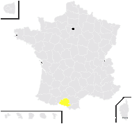 Prunella ×coutinhoi Rouy - carte de répartition