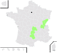 Prunella ×dissecta Wender. - carte de répartition