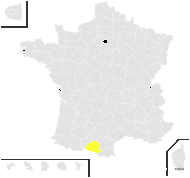 Prunella ×giraudiasii H.J.Coste & Soulié - carte de répartition