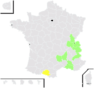 Ptychotis saxifraga (L.) Loret & Barrandon var. saxifraga - carte de répartition