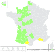 Pulmonaria longifolia (Bastard) Boreau subsp. longifolia - carte de répartition