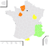 Cerinthe connivens Clairv. - carte de répartition