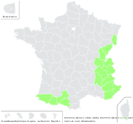 Anemone burseriana Scop. - carte de répartition