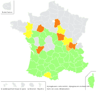 Cynoglossum creticum Mill. - carte de répartition