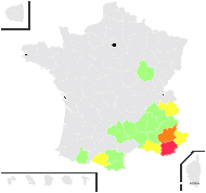 Cynoglossum dioscoridis Vill. - carte de répartition