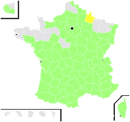 Quercus pubescens Willd. - carte de répartition