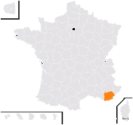 Quercus ithaburensis Decne. - carte de répartition