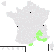 Quercus ×catalaunica Sennen - carte de répartition