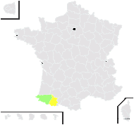 Quercus ×firmurensis Hy - carte de répartition